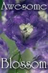 awesome-blossom award