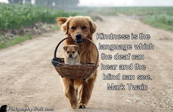 kindness 4 quote