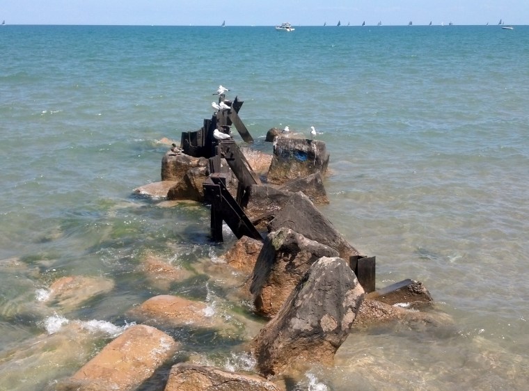 Seagulls at Lake Michigan
